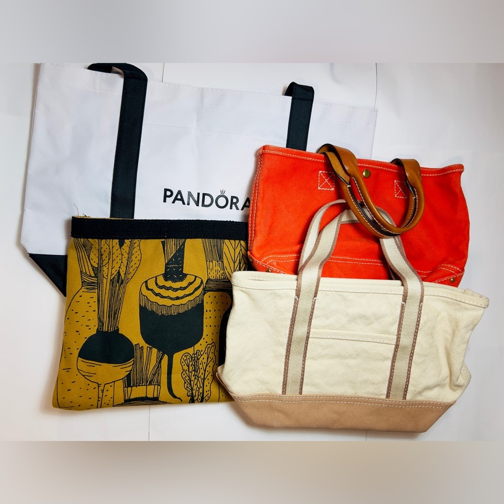 Jcrew montauk tote and canvas handbag LOT